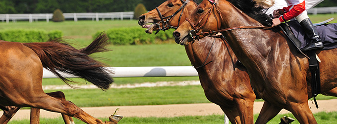 競馬で勝つ プロの手口と読み方2